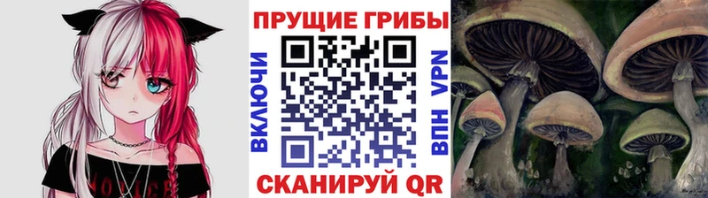 Галлюциногенные грибы прущие грибы  нарко площадка клад  Новочеркасск  закладка 